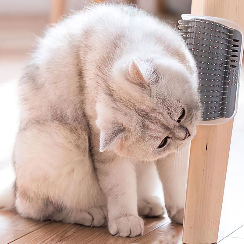 Massagebørste til katte